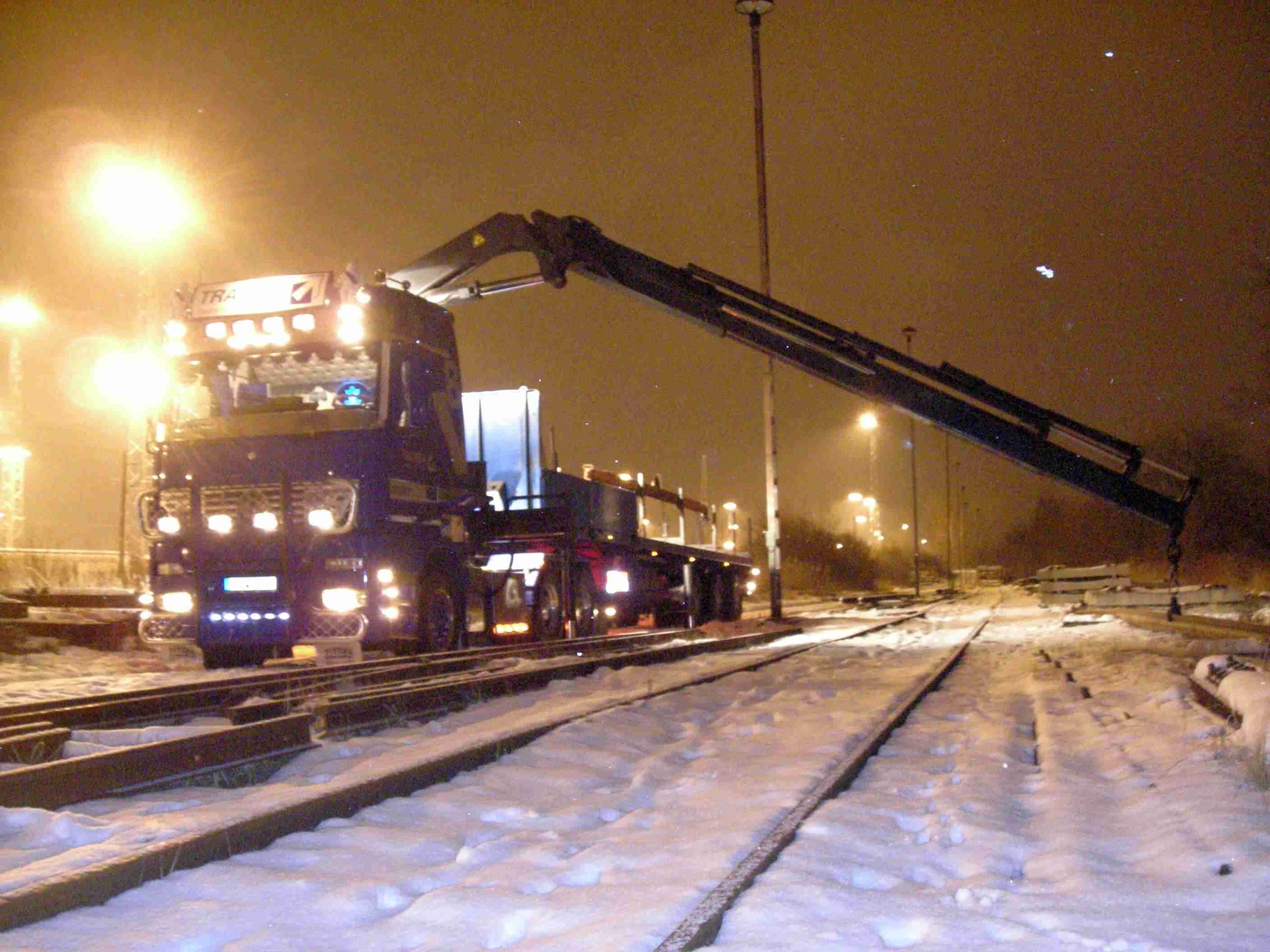 Kranentladung bei Schnee im nirgenwo